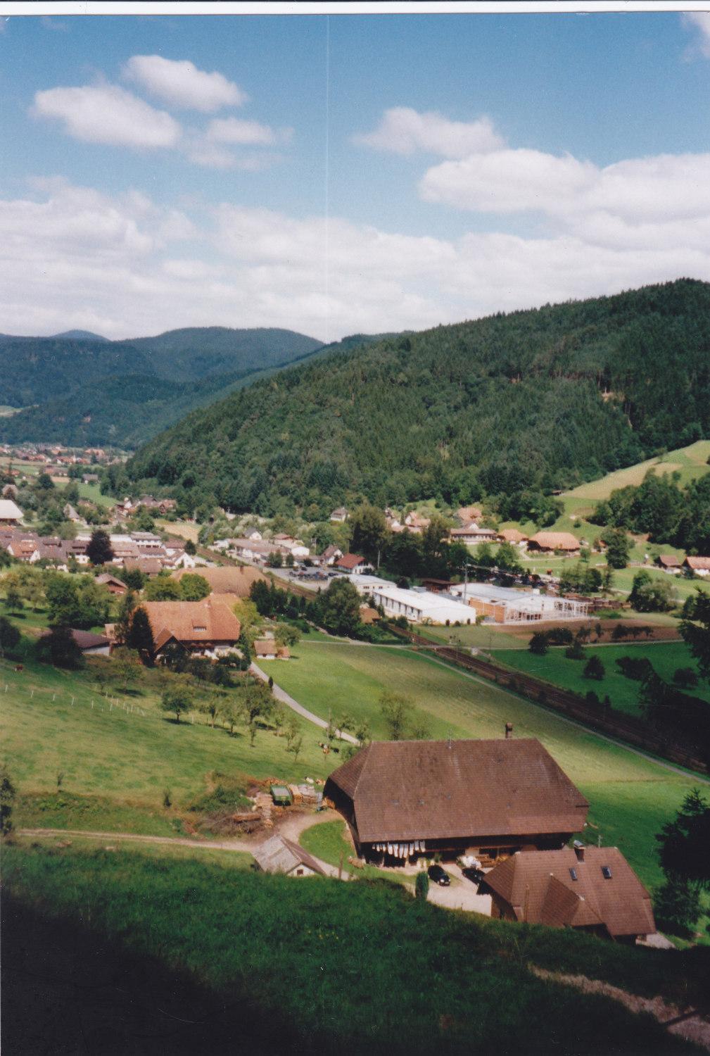 Hotel Waeldebauernhof à Gutach Extérieur photo